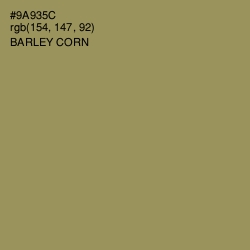 #9A935C - Barley Corn Color Image